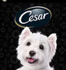 itzsnotcesar